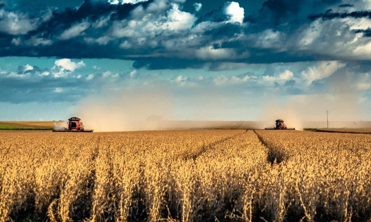 Farming's AI Revolution: Benefits and Challenges