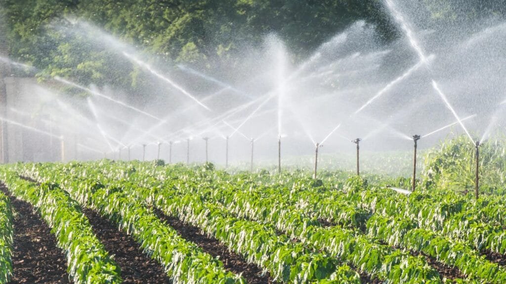 Agricultural AI: The Rise of Smart Farming Systems
