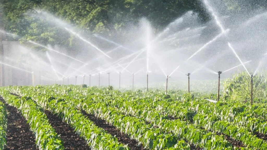 Agricultural AI: The Rise of Smart Farming Systems