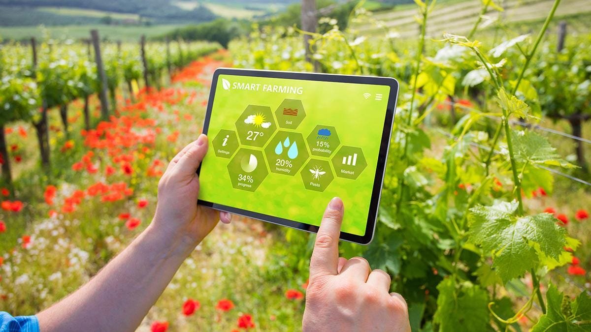 Smart Farming: The Rise of AI in Agriculture