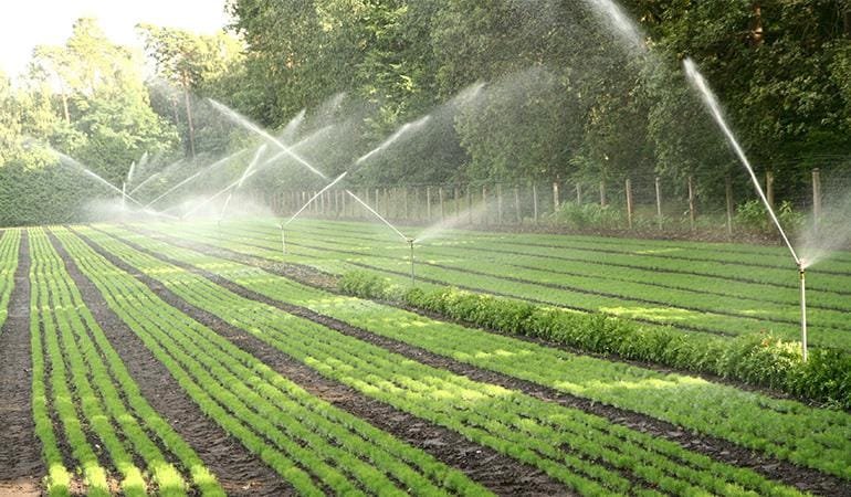 Agricultural Equipment Sales Drop, Yet AI Prevails