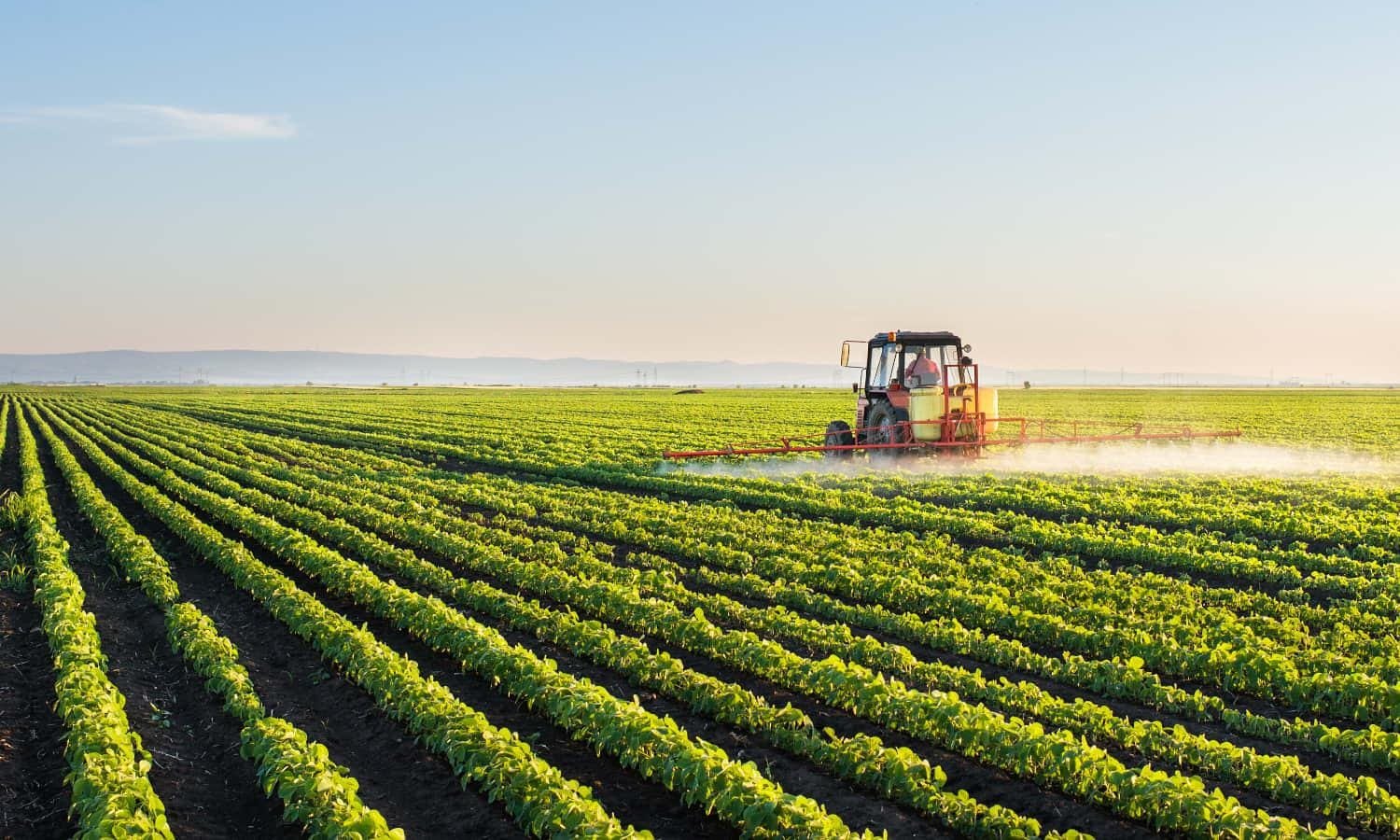 Agricultural Robotics Reshapes Farming's Future